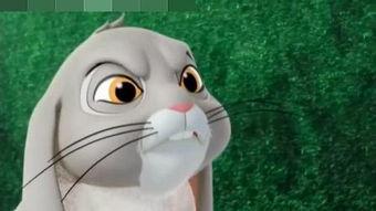 兔子变成人博主视频,揭秘博主变身背后的秘密