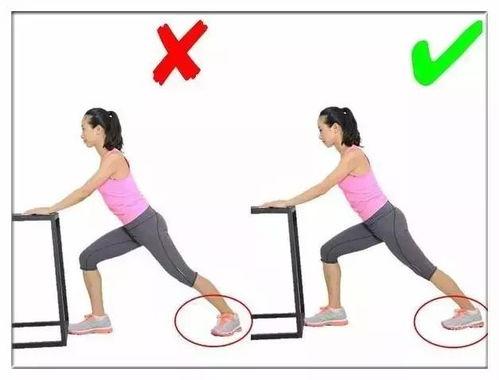 成人初期拉伸动作视频,跟随视频轻松入门