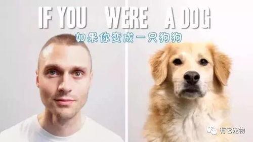 假如狗变成人说话视频大全,趣味视频大盘点