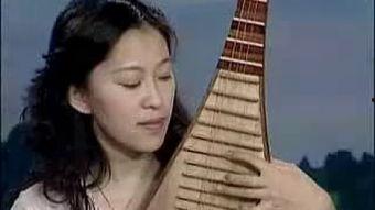 成人琵琶练习视频