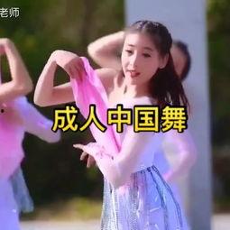 成人古典舞基础片段视频,探寻传统美学的韵律与姿态