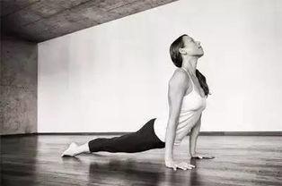 成人撕腿哭练瑜伽视频,成人撕腿哭练瑜伽，挑战身心极限