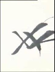 成人笔画练字视频大全集,轻松掌握汉字书写技巧