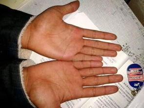 成人掌纹会变化吗视频,揭秘成人掌纹的演变之谜