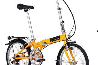 成人折叠自行车视频,成人折叠自行车视频深度解析