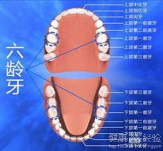 成人换牙真实过程视频
