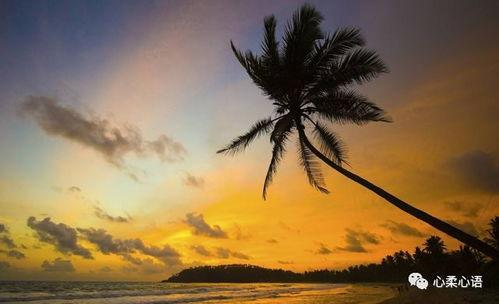 成人睡眠曲深度催眠视频