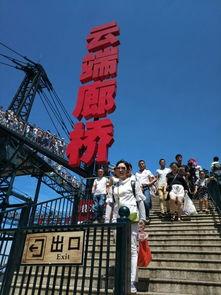 成人高空爬行乐园视频,惊险刺激的成人爬行挑战体验